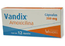 AMOXICILINA 250MG CAP 12