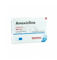 AMOXICILINA 500MG CAP C15