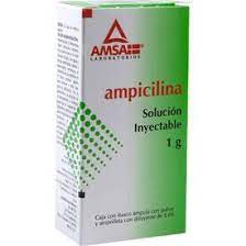 AMPICILINA 1G INY 5ML