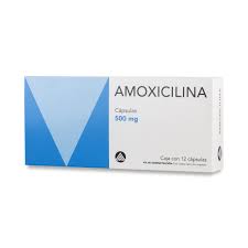 AMOXICILINA 500MG CAP C12