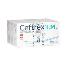 CEFTREX IM SOL 500MG C1 TRIPCK