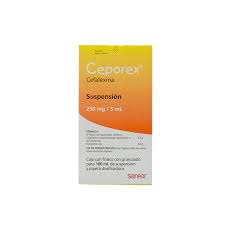 CEPOREX 250MG SUSP 100ML